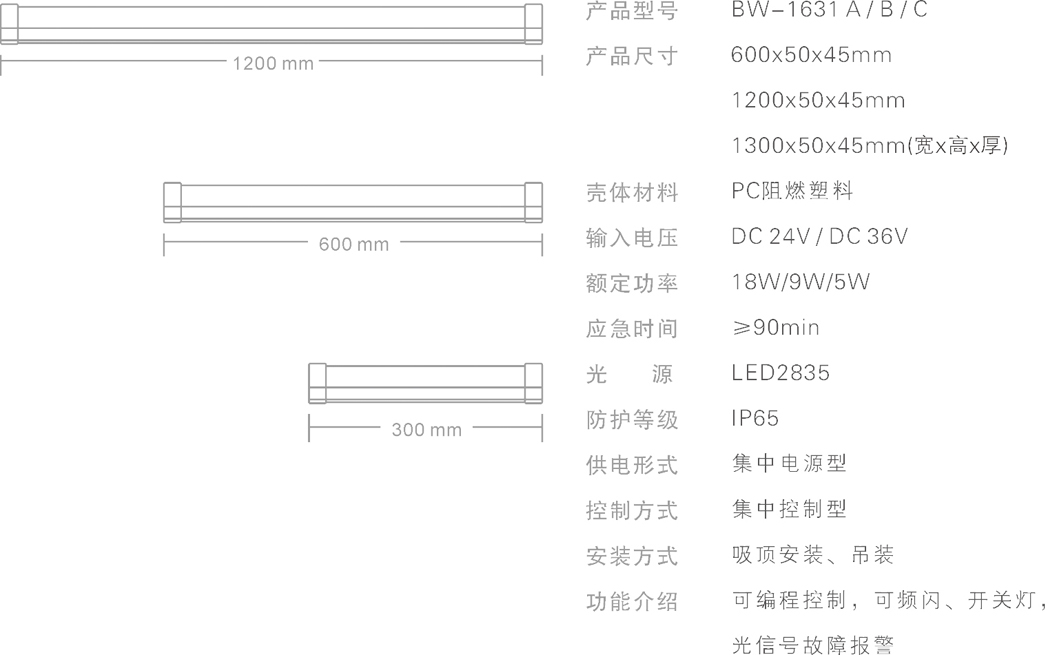 寶沃 202011 樣本  圖片  A4_P_25【42.0cm×29.7cm】-2.jpg